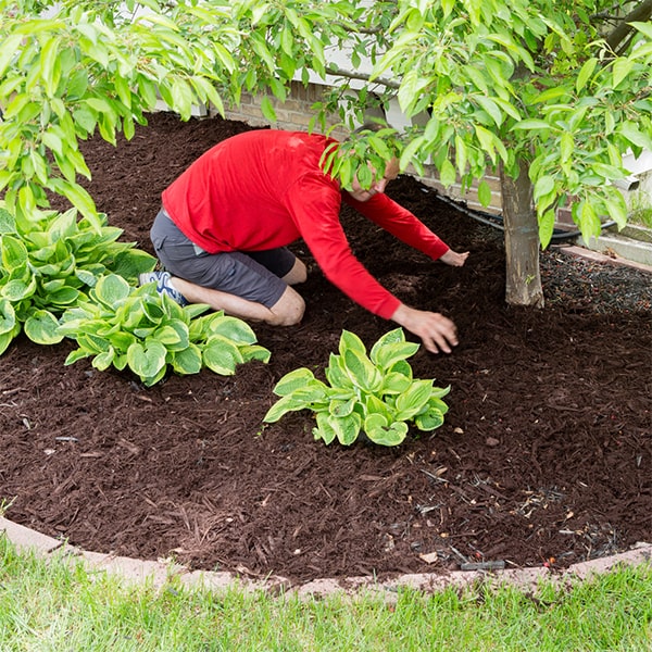 we can provide mulch installation for sloped or uneven terrain